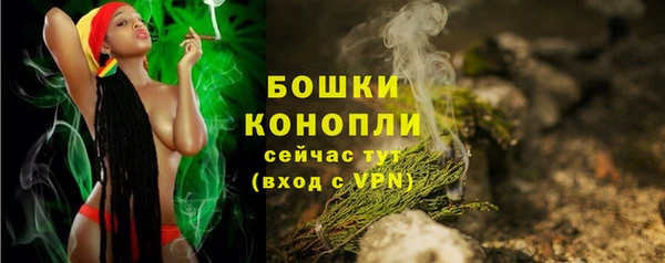 эйфоретик Бородино
