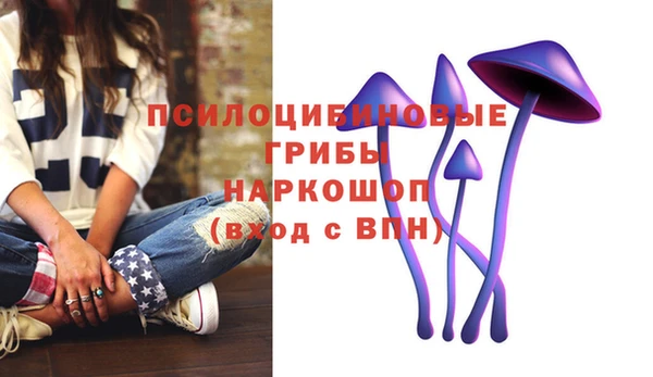 альфа пвп Бугульма