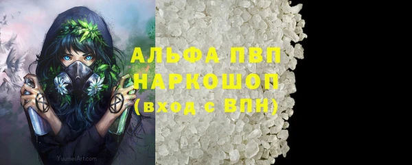 эйфоретик Бородино