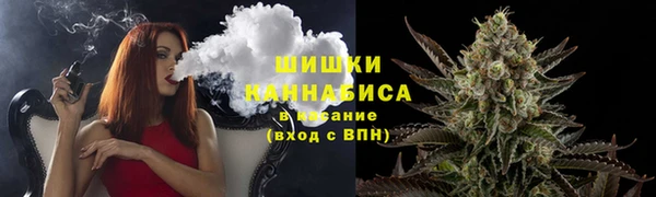 дурь Бронницы