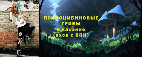 дурь Бронницы