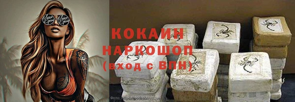 эйфоретик Бородино