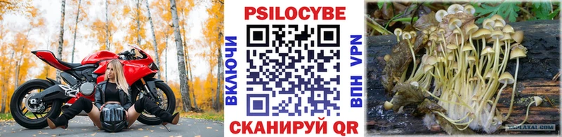 где можно купить наркотик  Новомичуринск  Галлюциногенные грибы мухоморы 